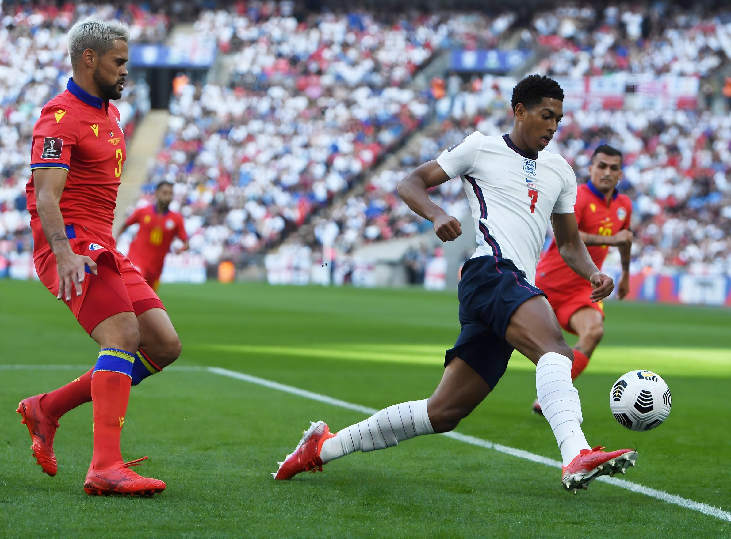 极有机会成 极有机会成